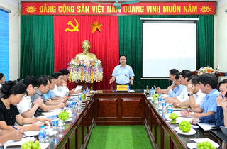 Đẩy nhanh tiến độ GPMB dự án đường cao tốc Ninh Bình - Hải Phòng