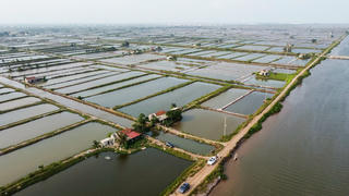 Ninh Bình thành lập Ban Chỉ đạo phát triển bền vững kinh tế biển
