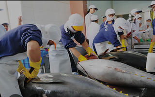 Bộ Công Thương lên tiếng trước nguy cơ Hoa Kỳ có thể dừng nhập khẩu một số loại thủy sản