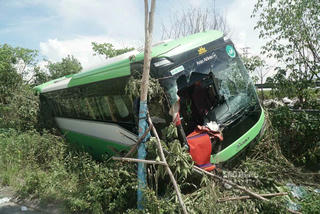 Cây xanh và cao tốc
