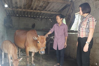 Chương trình giảm nghèo bền vững giai đoạn 2021 - 2025 tại Hà Tĩnh:
Gần 9.000 hộ thoát nghèo nhờ các mô hình hỗ trợ sản xuất và sinh kế 