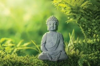 Không chấp thủ - con đường an lạc