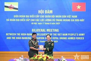 Việt Nam - Brunei: Đưa quan hệ hợp tác quốc phòng ngày càng phát triển thực chất, hiệu quả