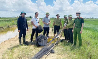 Quảng Ninh tăng cường ngăn chặn săn bắt chim di cư, hoang dã