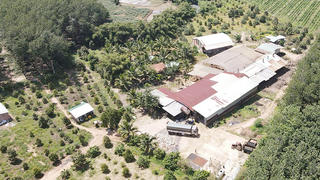 Kiểm tra, xử lý 2 xưởng chế biến cao su hoạt động trái phép ở Quảng Ngãi sau phản ánh của Báo Pháp luật Việt Nam