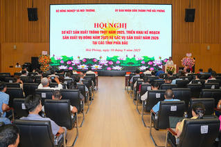 Chủ động kế hoạch sản xuất, nâng cao hiệu quả các vụ trồng trọt