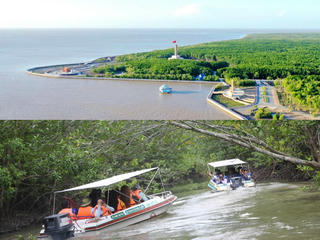 Xây dựng Cà Mau thành điểm đến hấp dẫn, trung tâm du lịch sinh thái vùng 