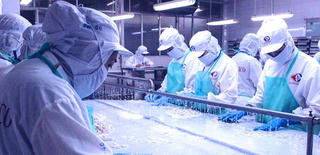 Cà Mau: Phấn đấu đến năm 2030 có 20.000 doanh nghiệp