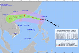 Hải Phòng chủ động ứng phó với bão RAGASA 