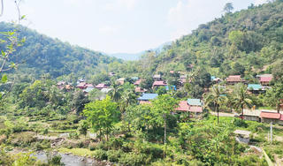 Nghệ An: 324 tỷ đồng từ ERPA giúp giữ vững độ che phủ rừng, cải thiện sinh kế cho hàng chục nghìn hộ dân