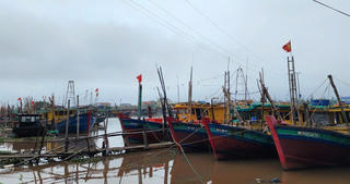 Siêu bão Ragasa: Ninh Bình sẵn sàng ứng phó với tinh thần quyết liệt nhất 


