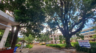 Đấu giá khu 'đất vàng' trên tuyến đường ven biển Gia Lai