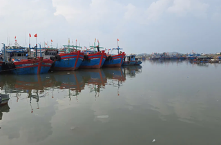 Thanh Hóa: Hơn 6.021 phương tiện nghề cá đã neo đậu tại bến an toàn tránh bão Ragasa 