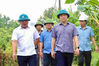 Phó Chủ tịch UBND TP Hải Phòng thị sát công tác phòng chống bão số 9 tại khu vực xung yếu