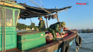 Bão số 9 áp sát: Đồn Biên phòng Trà Cổ khẩn trương hỗ trợ ngư dân tránh trú
