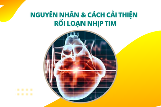 Nguyên nhân và cách cải thiện tình trạng rối loạn nhịp tim