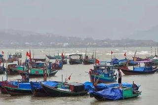 Hà Tĩnh: Chủ động đưa phương tiện vào khu neo đậu an toàn, thực hiện phương án sơ tán dân tránh trú bão
