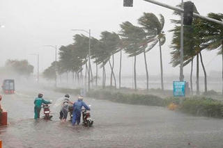 Thúc đẩy khu vực tư nhân tham gia ứng phó biến đổi khí hậu