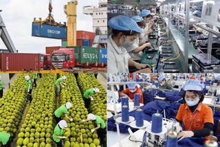 Địa phương phối hợp chặt chẽ với Bộ Công Thương hỗ trợ doanh nghiệp xuất khẩu sang EU