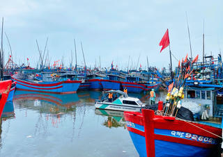 Quảng Ngãi: Xử phạt hơn 680 triệu đồng, tước bằng thuyền trưởng tàu cá vi phạm hàng loạt quy định
