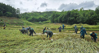 Lực lượng vũ trang TP Huế khẩn trương giúp dân khắc phục hậu quả bão số 10