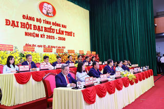 Đồng Nai hướng tới mục tiêu trở thành thành phố trực thuộc Trung ương vào năm 2030