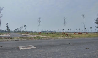 Hà Nội công khai 17 dự án chậm tiến độ sử dụng đất 