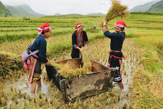 Sức sống mới trên bản Dao Đỏ Can Hồ B (Bài 2): Ngọn cờ đầu trong các phong trào phát triển kinh tế - xã hội