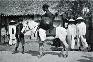 Dõi theo lá thư trên lưng ngựa