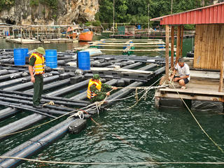 Quảng Ninh: Chủ động ứng phó bão số 11 với phương châm "3 trước", "4 tại chỗ"