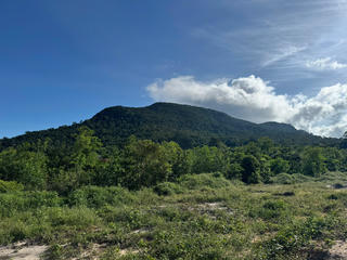 An Giang: Cưỡng chế thu hồi hơn 4,1ha đất phục vụ phát triển kinh tế xã hội ở Phú Quốc 