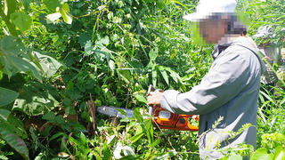 Bắt đối tượng hủy hoại gần 1ha rừng tự nhiên tại Quảng Ngãi