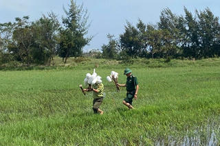 Gỡ ‘bẫy tử thần’ giữa đồng, trả lại bình yên cho đàn chim hoang dã