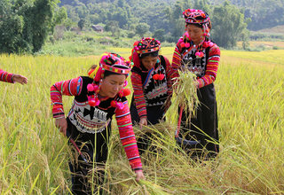 Điện Biên tạo chuyển biến trong công tác giảm nghèo