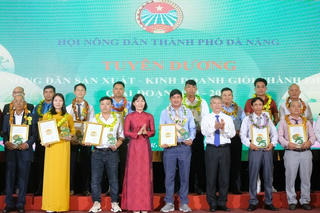 Nông dân Đà Nẵng: Đưa phong trào thi đua sản xuất, kinh doanh giỏi phát triển sâu rộng