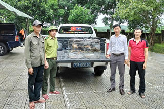 Người dân Quảng Trị chọn bảo vệ - không chọn ‘sở hữu’ chim quý