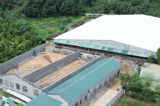 Xác minh phản ánh về cơ sở chăn nuôi lợn thôn 9, xã Việt Hồng, tỉnh Lào Cai: Dấu hiệu vi phạm khi xây dựng trên đất nuôi trồng thủy sản
