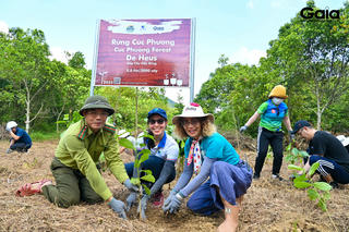Trồng rừng – từ khóa để ứng phó thiên tai bão lũ, sạt lở đất