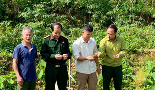 Dấu ấn tín dụng chính sách góp phần giảm nghèo tại vùng đất tổ Phú Thọ