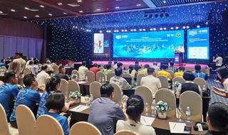 Marathon Quốc tế Di sản Hạ Long được cấp Nhãn Thế giới