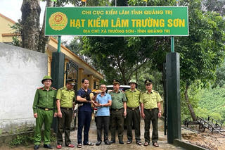 Người dân Quảng Trị giao nộp chim Hồng hoàng quý hiếm để bảo tồn đa dạng sinh học