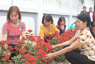 Phụ nữ và hành trình từ ‘5 không, 3 sạch’ đến vươn lên thoát nghèo