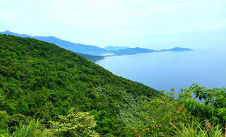 Huế thành lập khu bảo vệ cảnh quan Bắc Hải Vân hơn 7.300ha