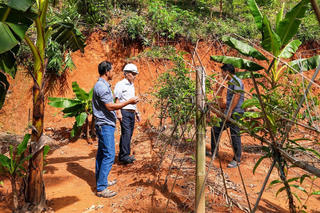 Đa dạng sinh kế, sức bật mới giúp đồng bào vùng cao miền Trung thoát nghèo