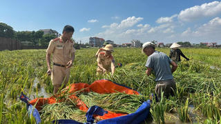 Cán bộ, chiến sĩ Công an Thủ đô giúp người dân xã Đa Phúc khôi phục cuộc sống sau bão