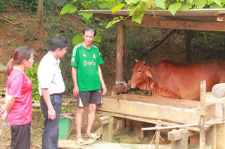 Thái Nguyên: Nhiều kết quả đạt được sau 5 năm triển khai Chương trình mục tiêu quốc gia