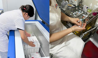 Bản tin tổng hợp 23/10: WHO hỗ trợ 9.000 liều vaccine phòng dại cho hai tỉnh có nguy cơ cao tại Việt Nam