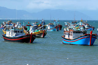 Kiên quyết chống khai thác IUU, phát triển bền vững ngành thuỷ sản vì lợi ích quốc gia