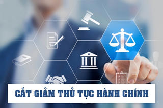 Bộ Tư pháp hướng dẫn các Bộ, ngành, địa phương thực hiện rà soát, cắt giảm thủ tục hành chính