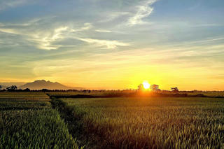 Hài hòa mục tiêu “kép” về nông thôn mới và giảm nghèo đa chiều